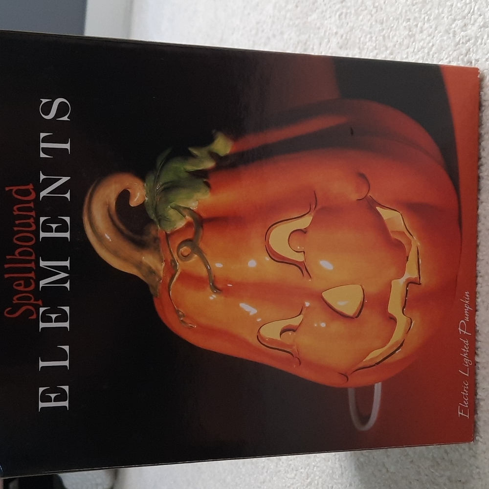 Electric Lighted Pumpkin